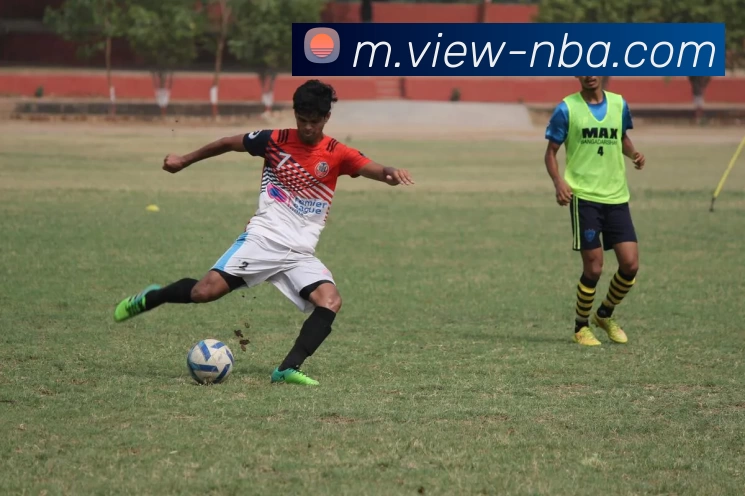 NBA买球平台生态图